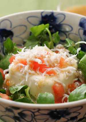 春の豆腐サラダ-レシピのメイン写真