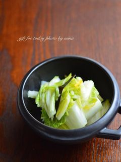 白菜の浅漬け-レシピのメイン写真