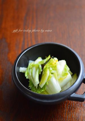 白菜の浅漬け-レシピのメイン写真