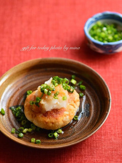酒粕とおからの和風ハンバーグ-レシピのメイン写真