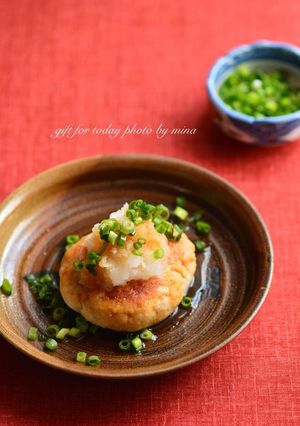 酒粕とおからの和風ハンバーグ-レシピのメイン写真