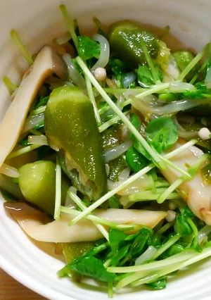 簡単 副菜❀豆苗ともやしとオクラのお浸し-レシピのメイン写真