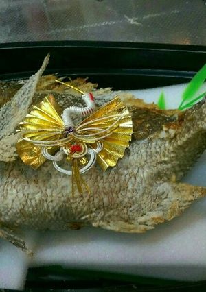 祝い鯛(焼鯛)-レシピのメイン写真