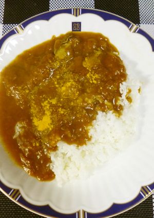 カレーでボケず-レシピのメイン写真