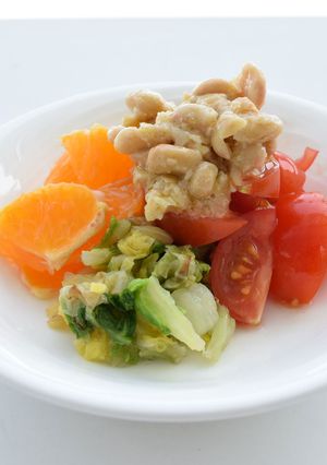 白菜とポンカンの大豆ドレがけ-レシピのメイン写真