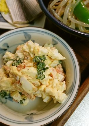 鮭と卵のサラダ-レシピのメイン写真