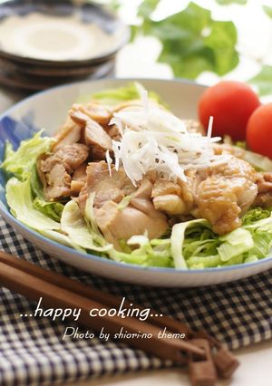 簡単ヘルシー☆鶏肉のしょう油蒸し-レシピのメイン写真