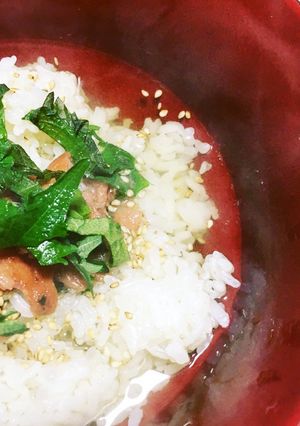 夜食２２時以外に食べる梅しそお茶漬け-レシピのメイン写真