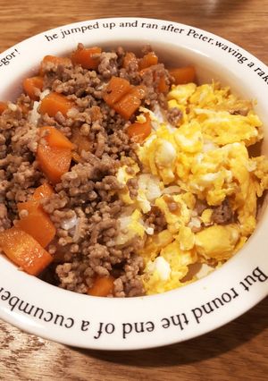 人参入り簡単2色丼！お弁当にもオススメ！-レシピのメイン写真