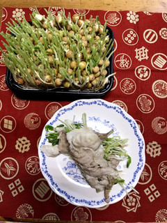 豆苗の肉巻き-レシピのメイン写真