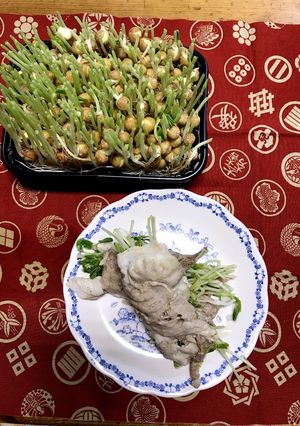 豆苗の肉巻き-レシピのメイン写真