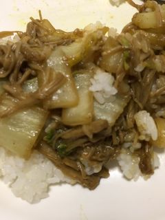 白菜とえのきのカレー粉炒め丼-レシピのメイン写真