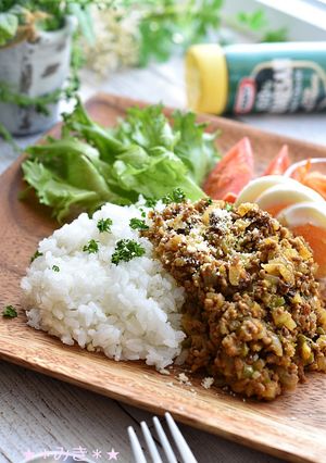 昔ながらのドライカレー☆-レシピのメイン写真