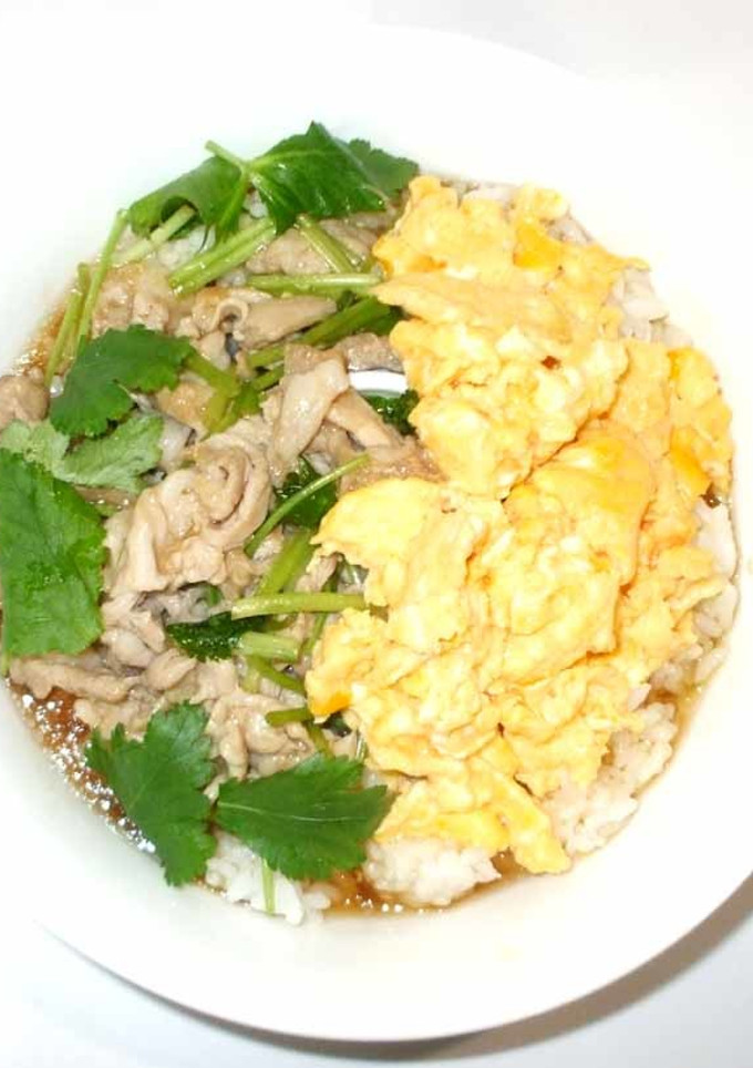 豚肉と卵のあんかけ丼♪簡単材料2つ-レシピのメイン写真