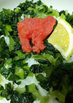 高菜の浅漬け（若高菜）-レシピのメイン写真