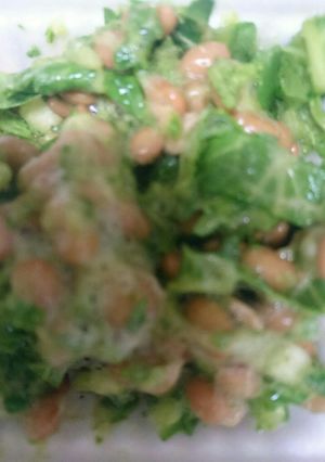 かぶスムージーの納豆和え-レシピのメイン写真