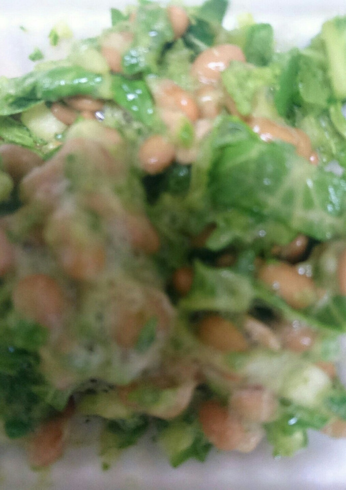 かぶスムージーの納豆和え-レシピのメイン写真