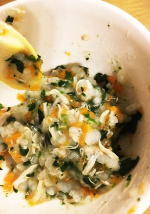 離乳食中期 鳥ささみと野菜の出汁粥-レシピのメイン写真