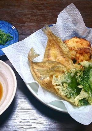 天ぷら盛り合わせ ( 鱚・鶏天など )-レシピのメイン写真