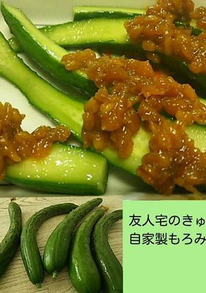 自家製もろみ-レシピのメイン写真
