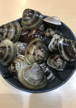 はまぐり鍋-レシピのメイン写真