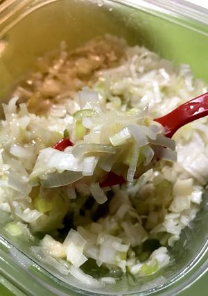 万能ねぎ塩-レシピのメイン写真