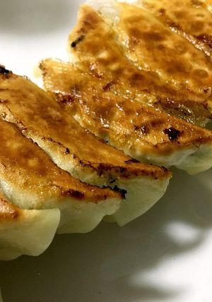 白菜入ホットプレート餃子-レシピのメイン写真