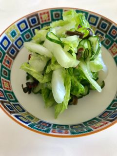 細切り白菜ときゅうりの簡単浅漬け!-レシピのメイン写真
