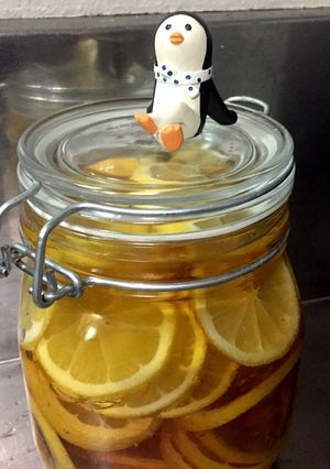 台所ペンギンのハチミツ漬けレモン-レシピのメイン写真
