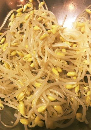 超簡単！美味！もう一品！モヤシのナムル-レシピのメイン写真