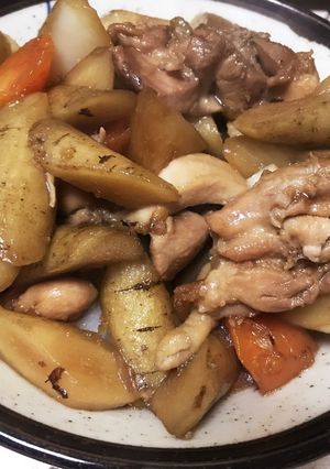 圧力鍋で鶏肉と根菜の煮物-レシピのメイン写真