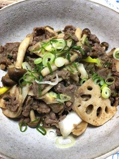 プルコギビーフと蓮根の炒め-レシピのメイン写真