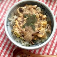 基本からアレンジまで！思わずつくりたくなる「うどんチャーハン」の