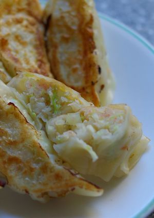 エビ餃子-レシピのメイン写真