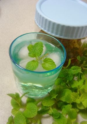 ☆　リンゴ酢のミントサワードリンク-レシピのメイン写真