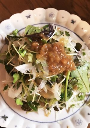 梅と山葵と胡麻油で食べるサラダ-レシピのメイン写真