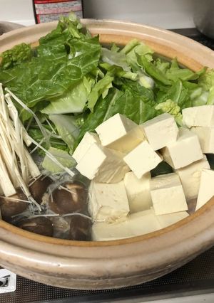 ズボラで面倒くさがりの水炊き-レシピのメイン写真