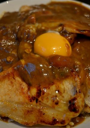 スタミナカレー・生-レシピのメイン写真