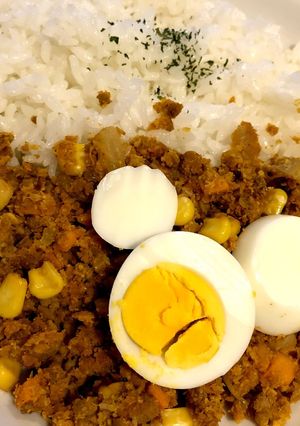 おから入りドライカレー-レシピのメイン写真