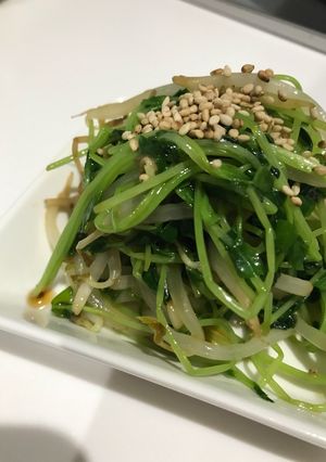 レンチン★豆苗とモヤシのナムル-レシピのメイン写真