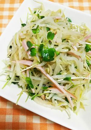 お財布の味方!もやしとカイワレのサラダ-レシピのメイン写真