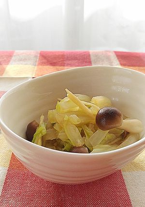 白菜の辛子和え-レシピのメイン写真