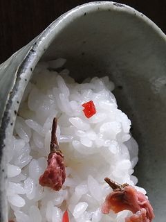 桜と小梅の春ごはん-レシピのメイン写真