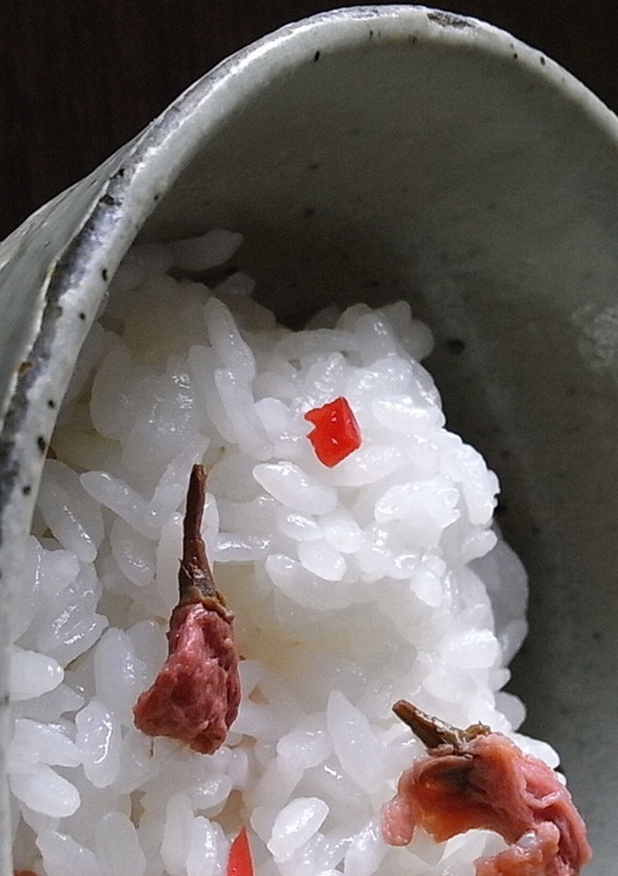 桜と小梅の春ごはん-レシピのメイン写真