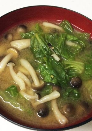 白菜としめじの味噌汁-レシピのメイン写真