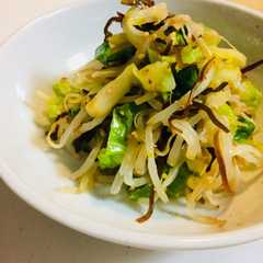 やみつき☆キャベツともやしの塩昆布和え-レシピのメイン写真