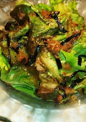 【男飯】梅と海苔のサラダ【南高梅】-レシピのメイン写真