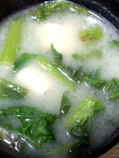 豆腐と菜の花の味噌汁-レシピのメイン写真