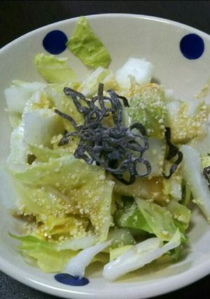 白菜サラダ-レシピのメイン写真