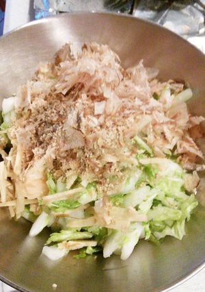 白菜ぱぱっと和え物-レシピのメイン写真